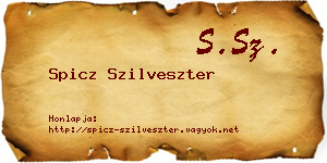 Spicz Szilveszter névjegykártya